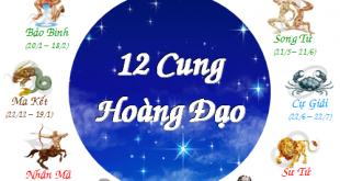 cung-hoan-dao-thich-hop-voi-nghe-y