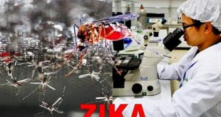 nghiên cứu thuốc chống zika