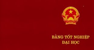 Học đại học hay học nghề thì tốt hơn